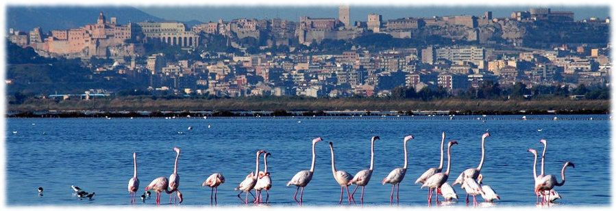 22nd ACM International Conference on Computing Frontiers, May 28-30, 2025, Cagliari, Sardinia, Italy